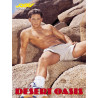 Desert Oasis DVD (Jocks / Falcon) (15818D)