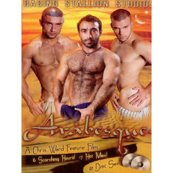 Arabesque 2-DVD-Set (Raging Stallion) (02291D)