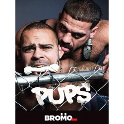 Pups DVD (Bromo) (17403D)