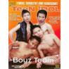 Boyz Team (Teen Idol) DVD (Birlynn Young) (02595D)