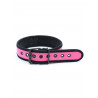 Rude Rider Neoprene Puppy Collar Pink (T7470)