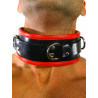 Rude Rider Collar 3 D-Ring with Padding Leather Black/Red One Size (T7339)