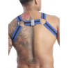 GBGB Roman Body Harness Blue/Black (T7661)