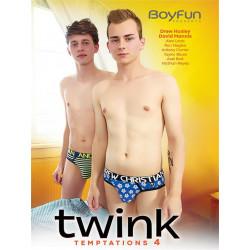 Twink Temptations #4 DVD (BoyFun) (18920D)