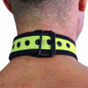 RudeRider Neoprene Puppy Collar Yellow (T7265)