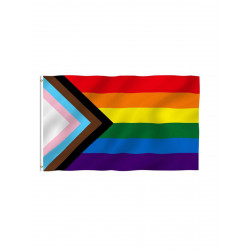 Progress Rainbow Flag / Progress Regenbogenflagge 60 x 90 cm (T8421)