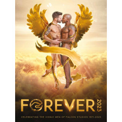 Forever Falcon 2023 Calendar (M1047)