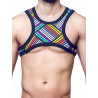 Supawear Ribbed Slashed Cropped Top Rainbow (T8921)
