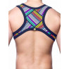 Supawear Ribbed Slashed Cropped Top Rainbow (T8921)
