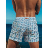 2Eros Byron Print Shorts S70 Swimwear Mykonos (T11101)