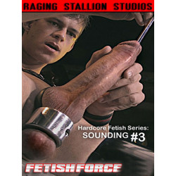 Sounding #3 DVD (Raging Stallion) (04823D)