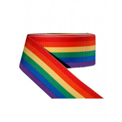 Rainbow Stripe Ribbon 1 1/2inch / 38mm wide 10m (T1535)