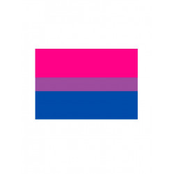 Bisexual Flag Magnet (T5130)