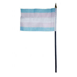Trans Hand Flag / Handflagge (T5208)